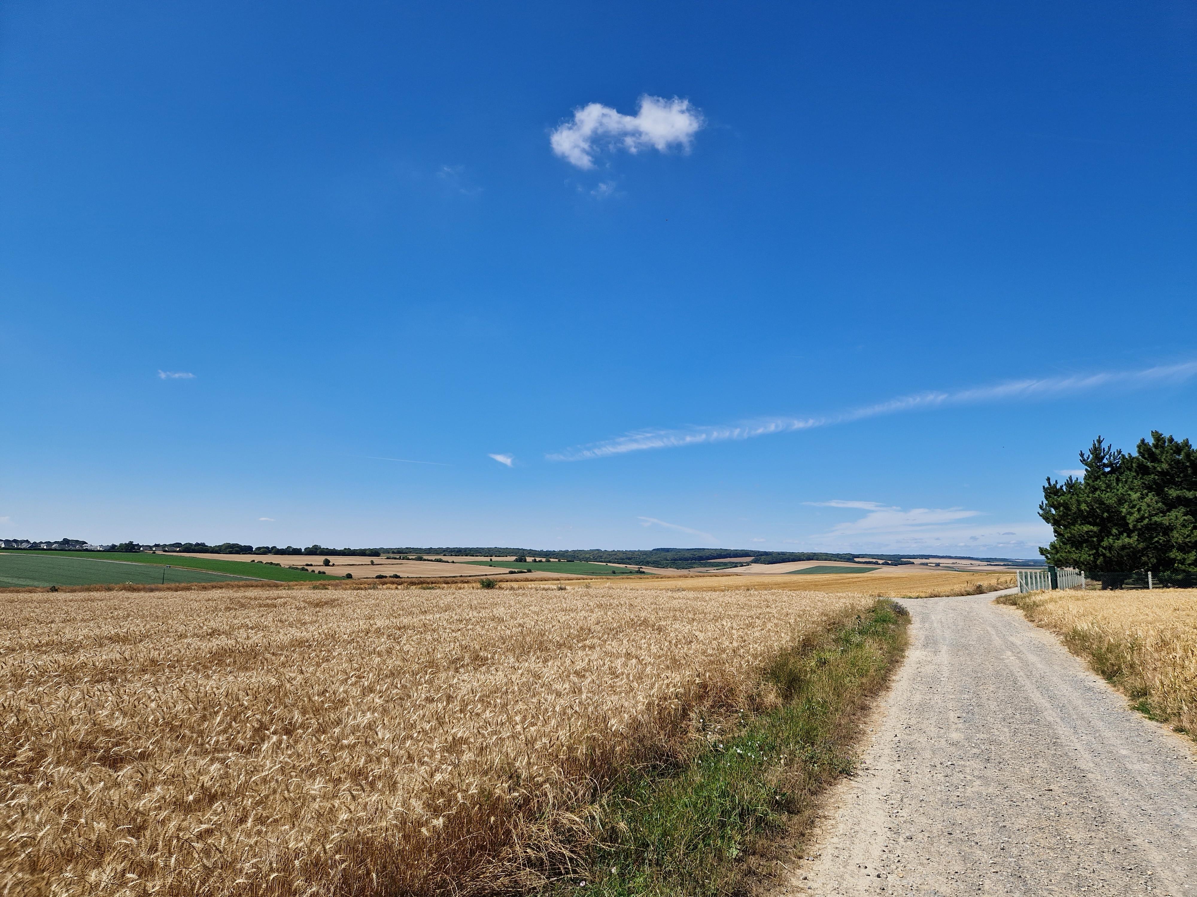 Cycling the Western Front Way
